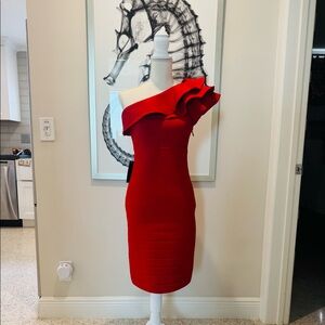 Beautiful red one shoulder bodycon dress. The material is thick and forgiving!